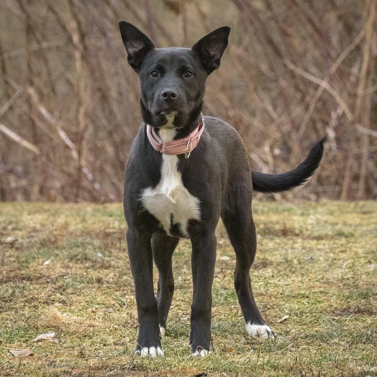 Ashley — thumbnail 4