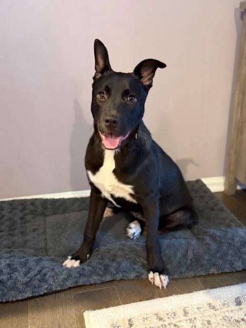 Ashley — thumbnail 5