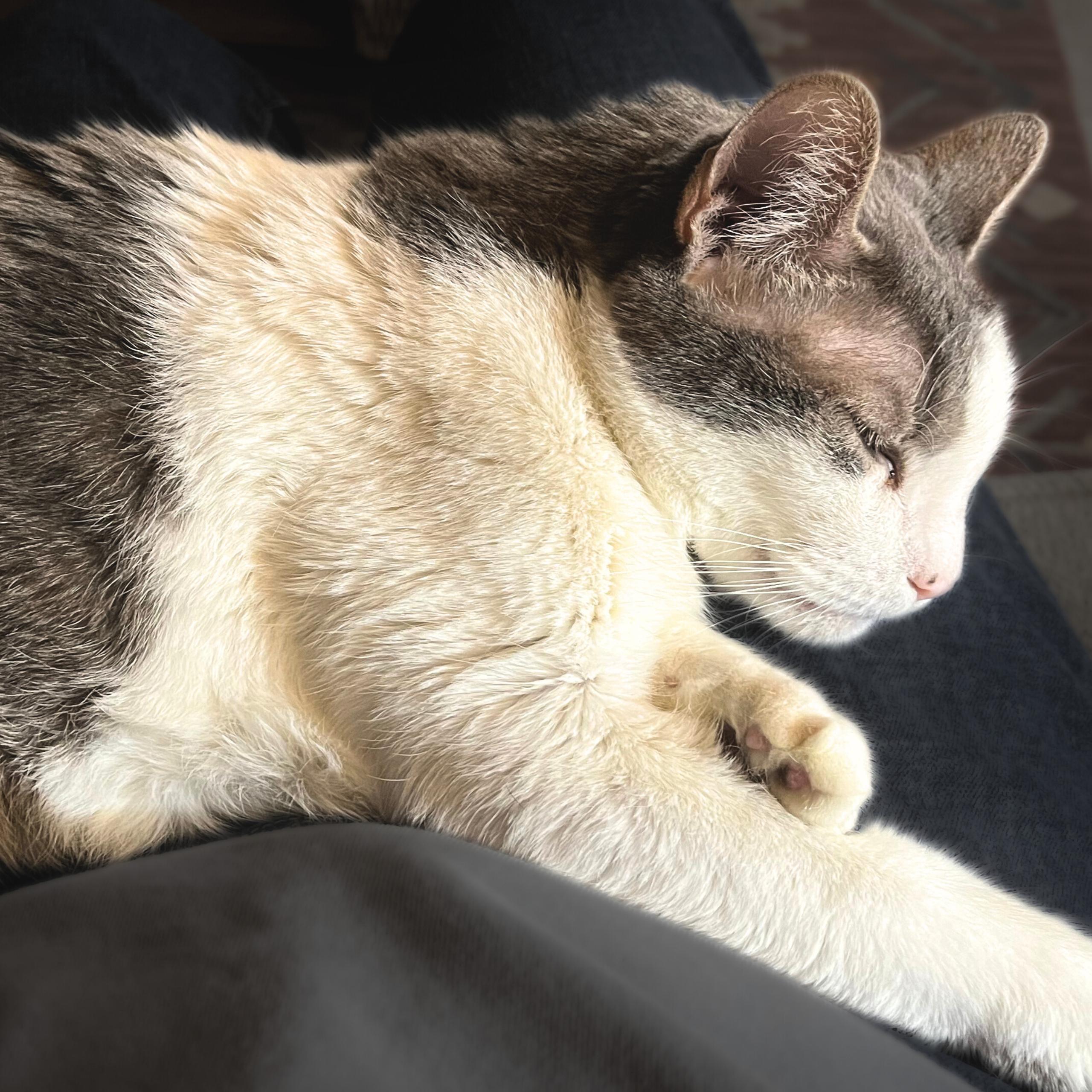 Clark — thumbnail 2