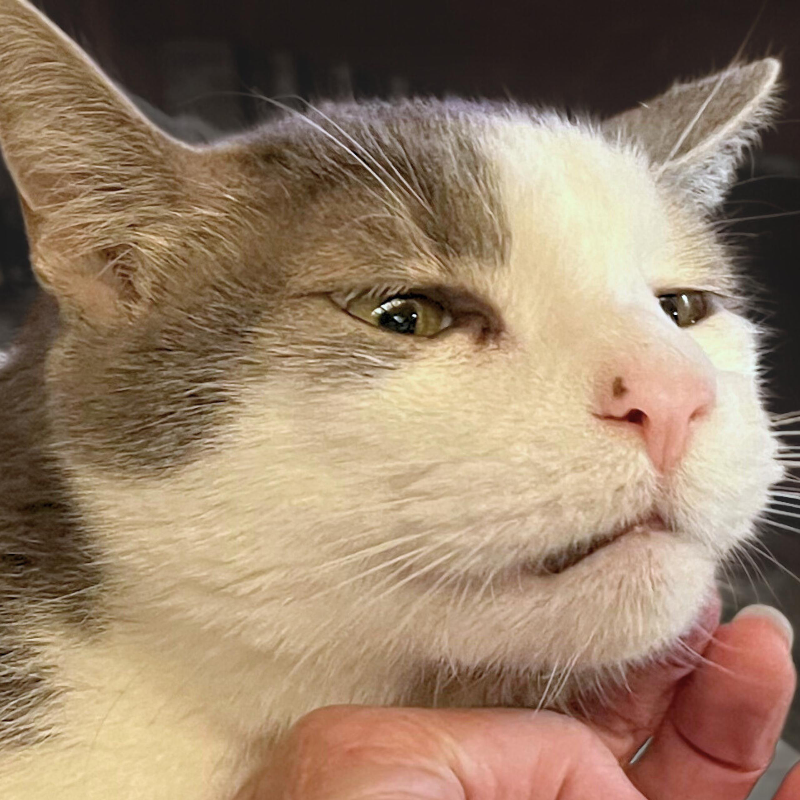 Clark — thumbnail 3