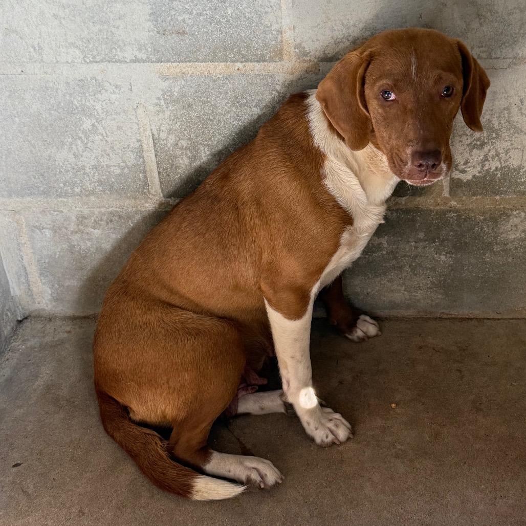 Sylvia — thumbnail 2