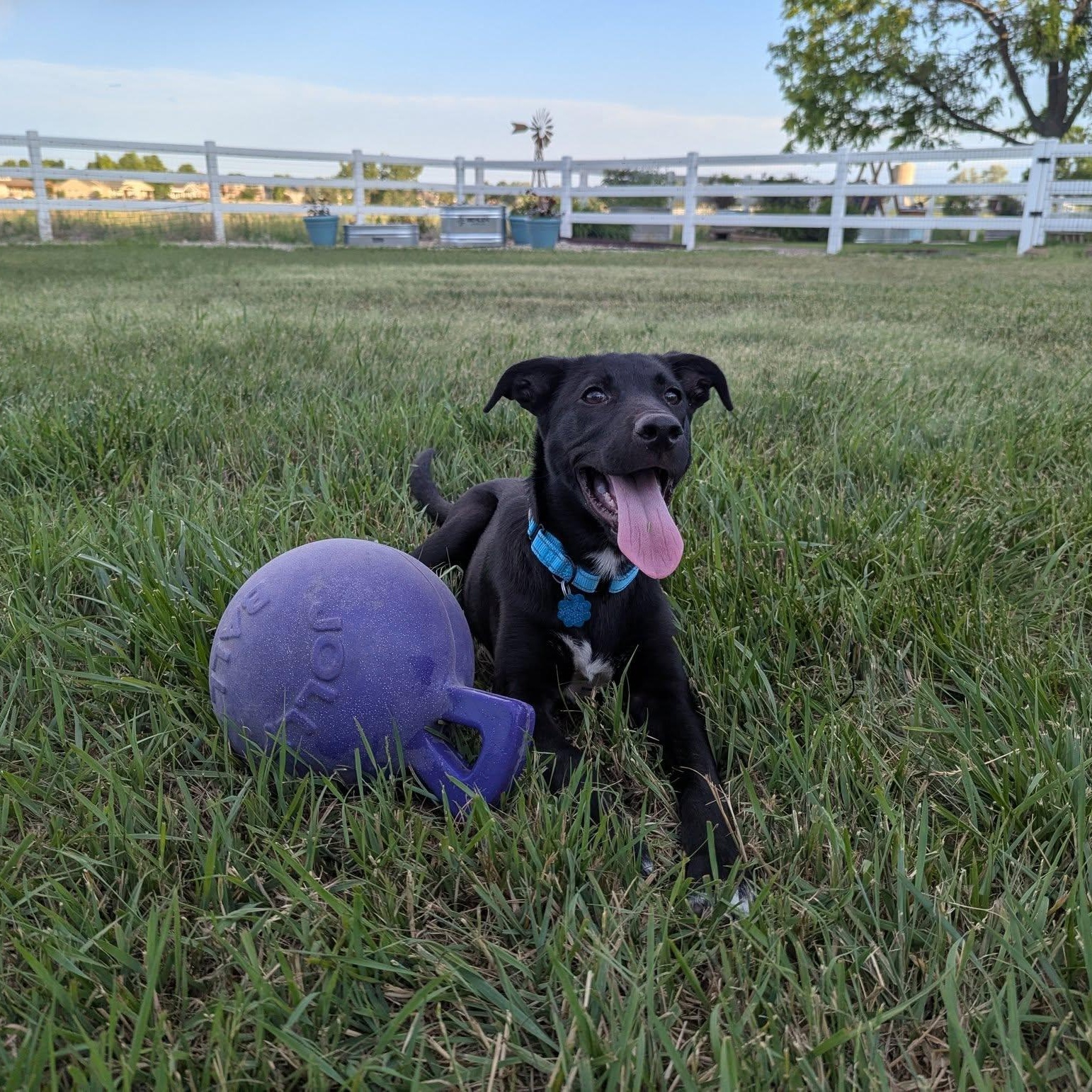 DELTA photo