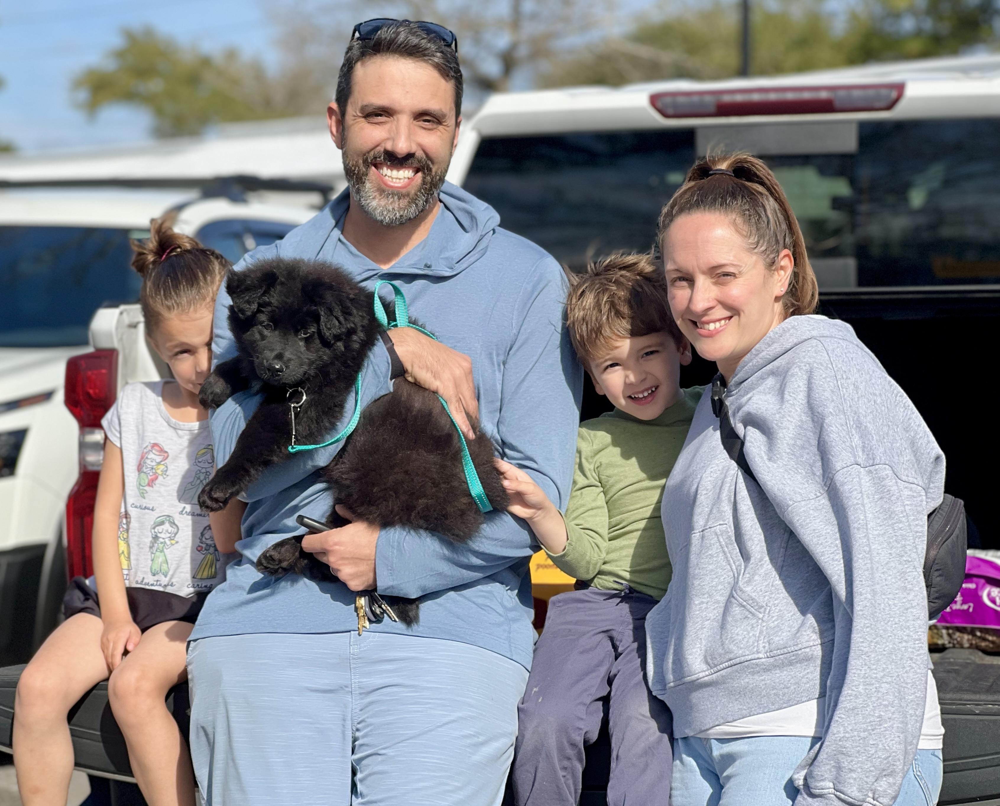 Enlarge Eddie, an adopted mixed breed in Mt Pleasant, SC image 5/5