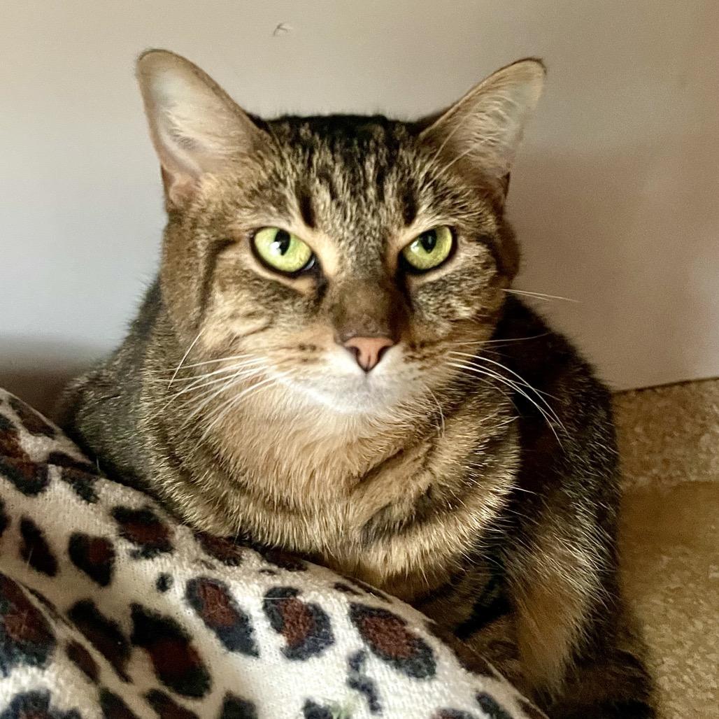 Reba — thumbnail 3