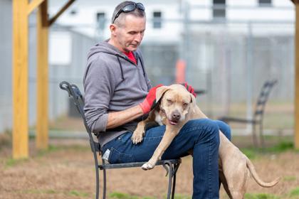 Enlarge Memphis Minnie, a Adoptable Mixed Breed in New Castle, DE image 2/3