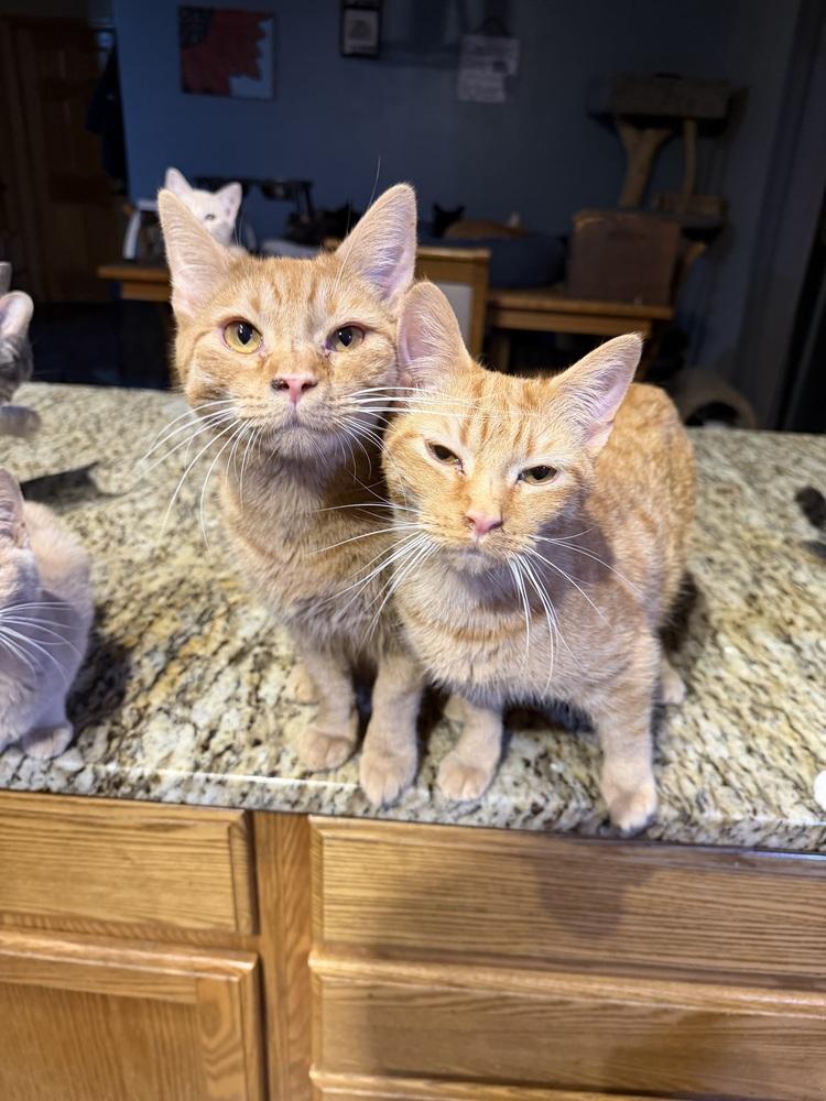 Parker — thumbnail 3