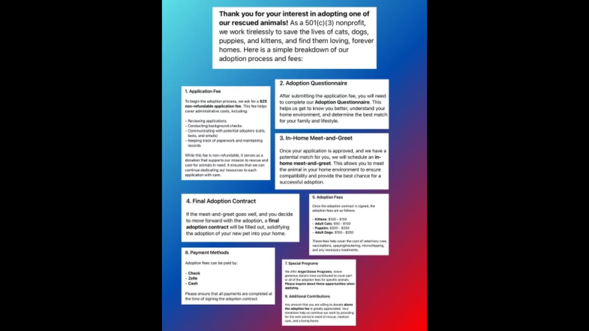 Enlarge Dog for PTSD or Family Dog - PEPPERONI -, a Adoptable mixed breed in Sebastian, FL image 3/3