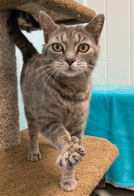 Willow *, Young Female unknown