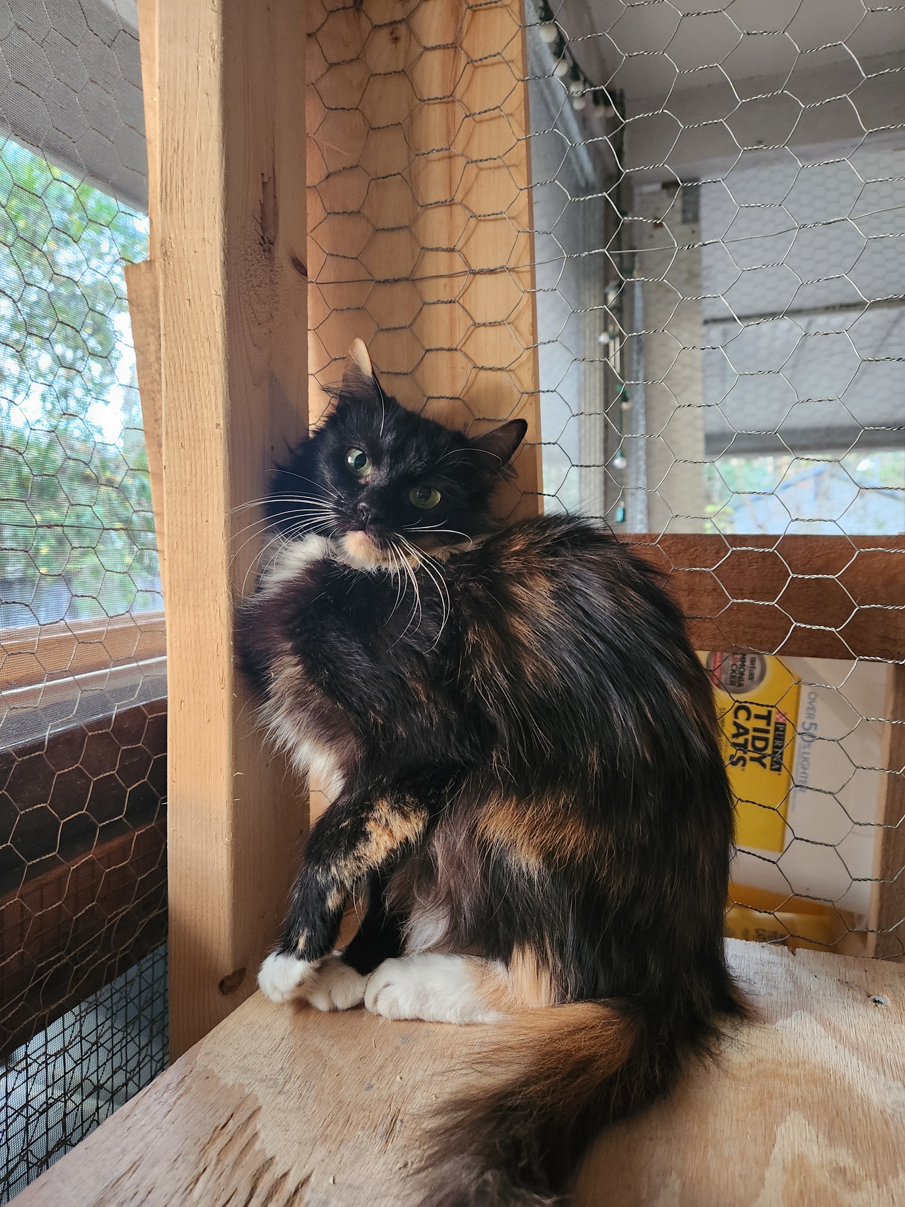 Zoe