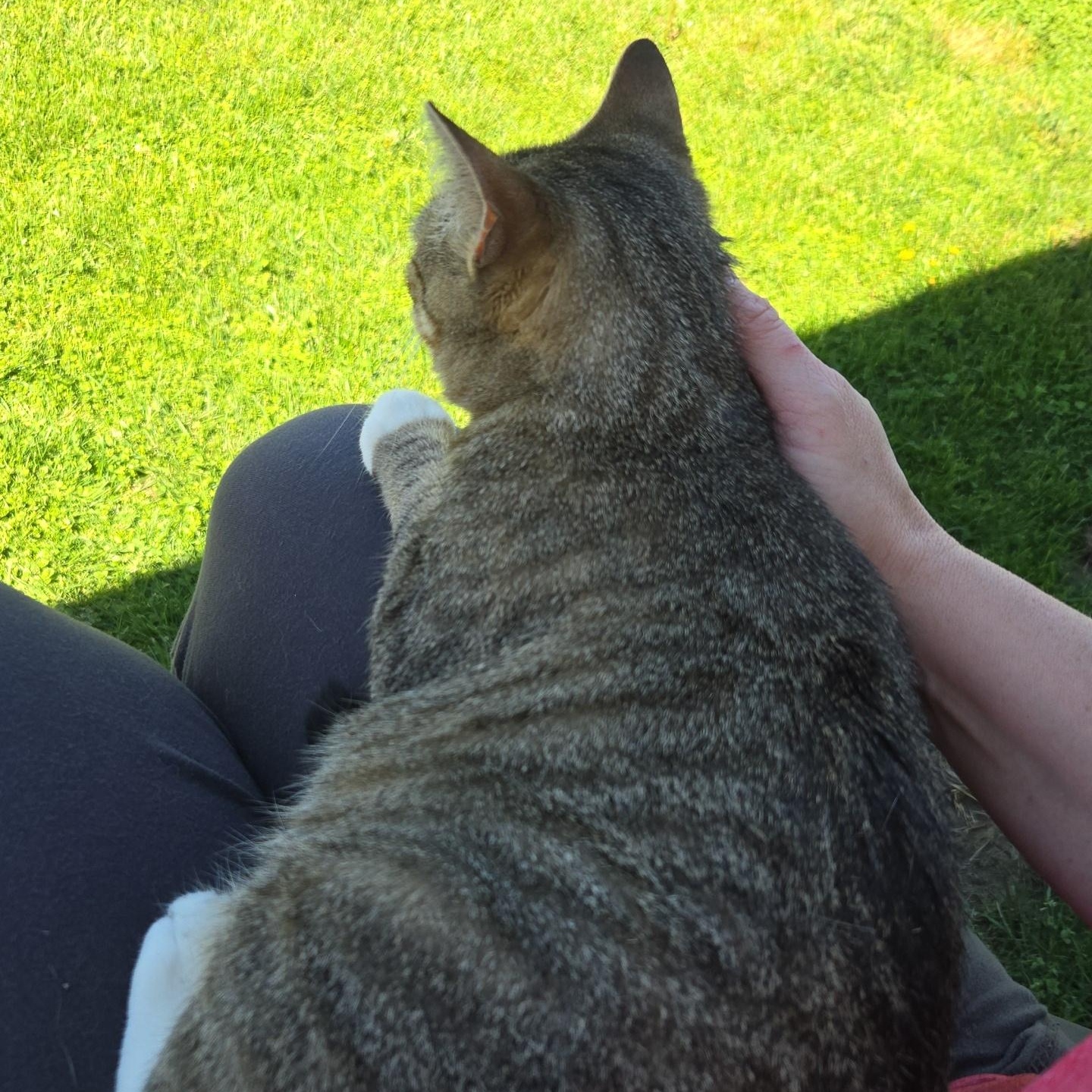 Laila Ali — thumbnail 5