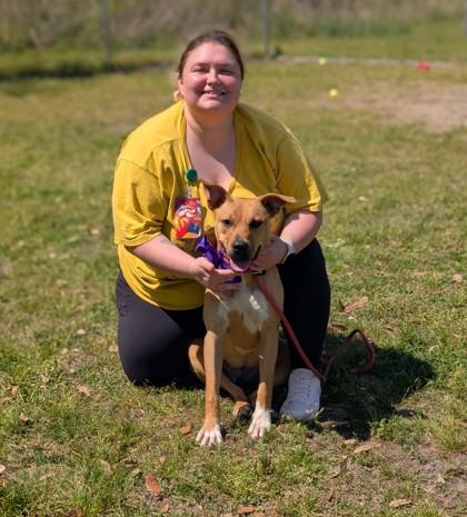 Enlarge Harvest, a Adoptable mixed breed in Gulfport, MS image 3/3