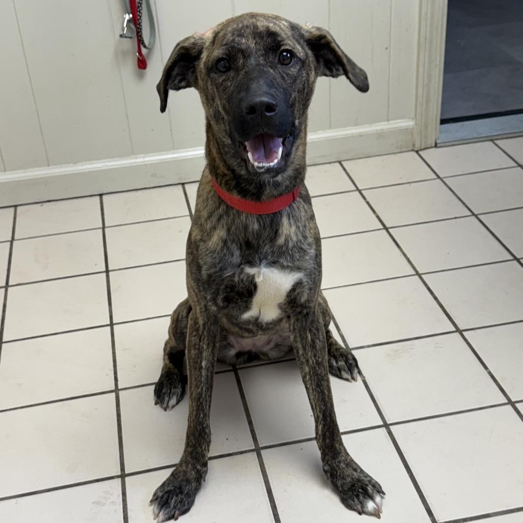 Athena Grace — thumbnail 2