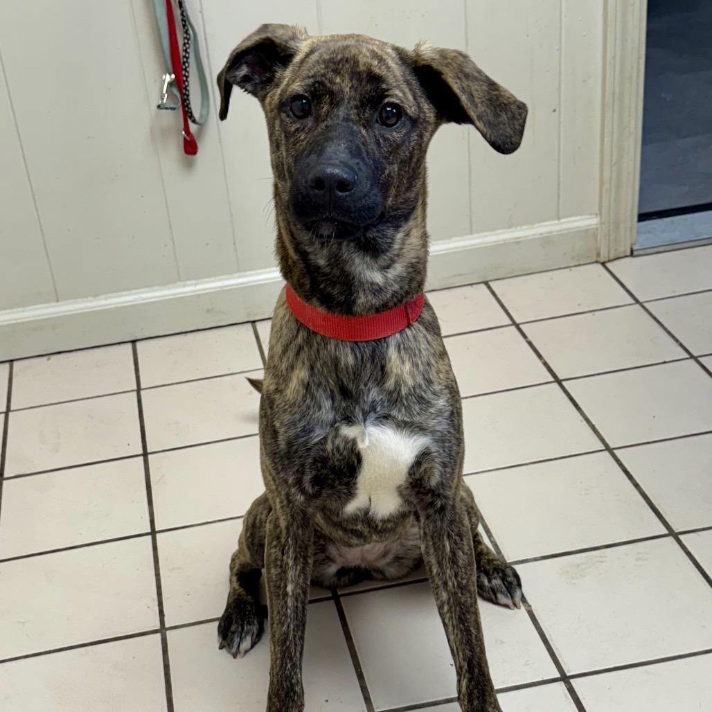 Athena Grace — thumbnail 3