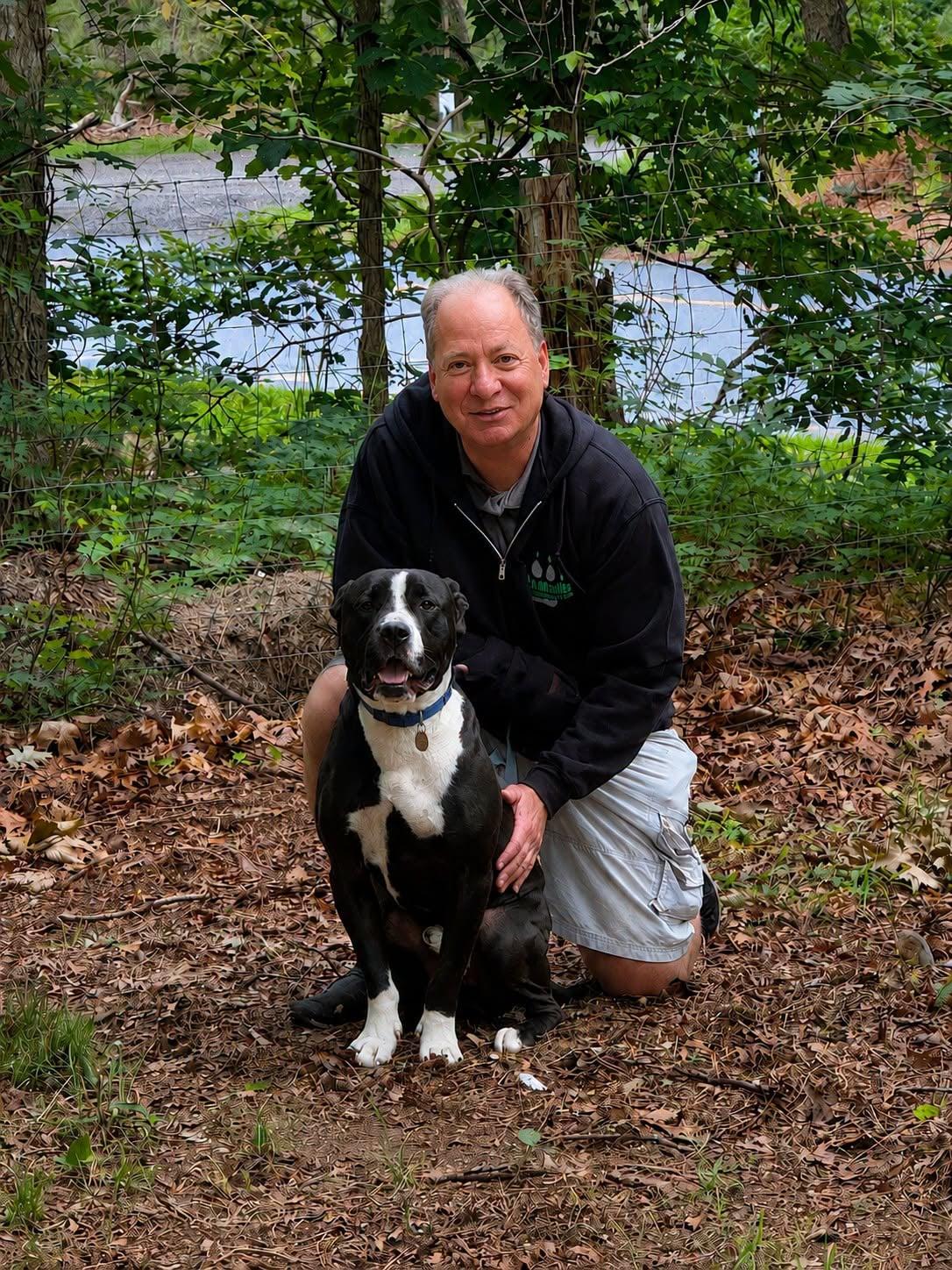 Carter, a Adoptable American Staffordshire Terrier in Cranford, NJ image 5/6