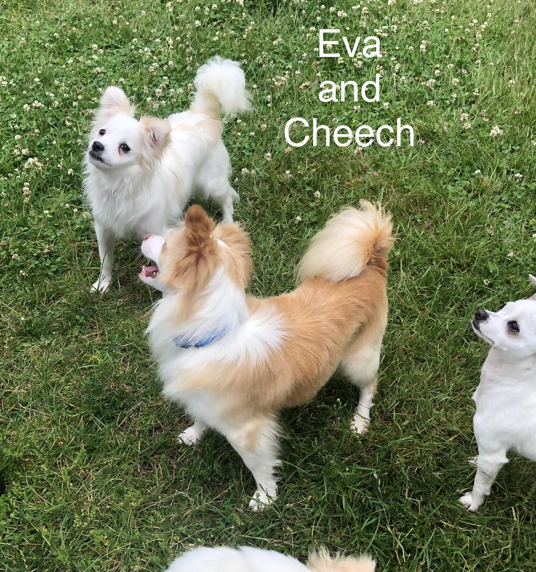 Eva photo 2