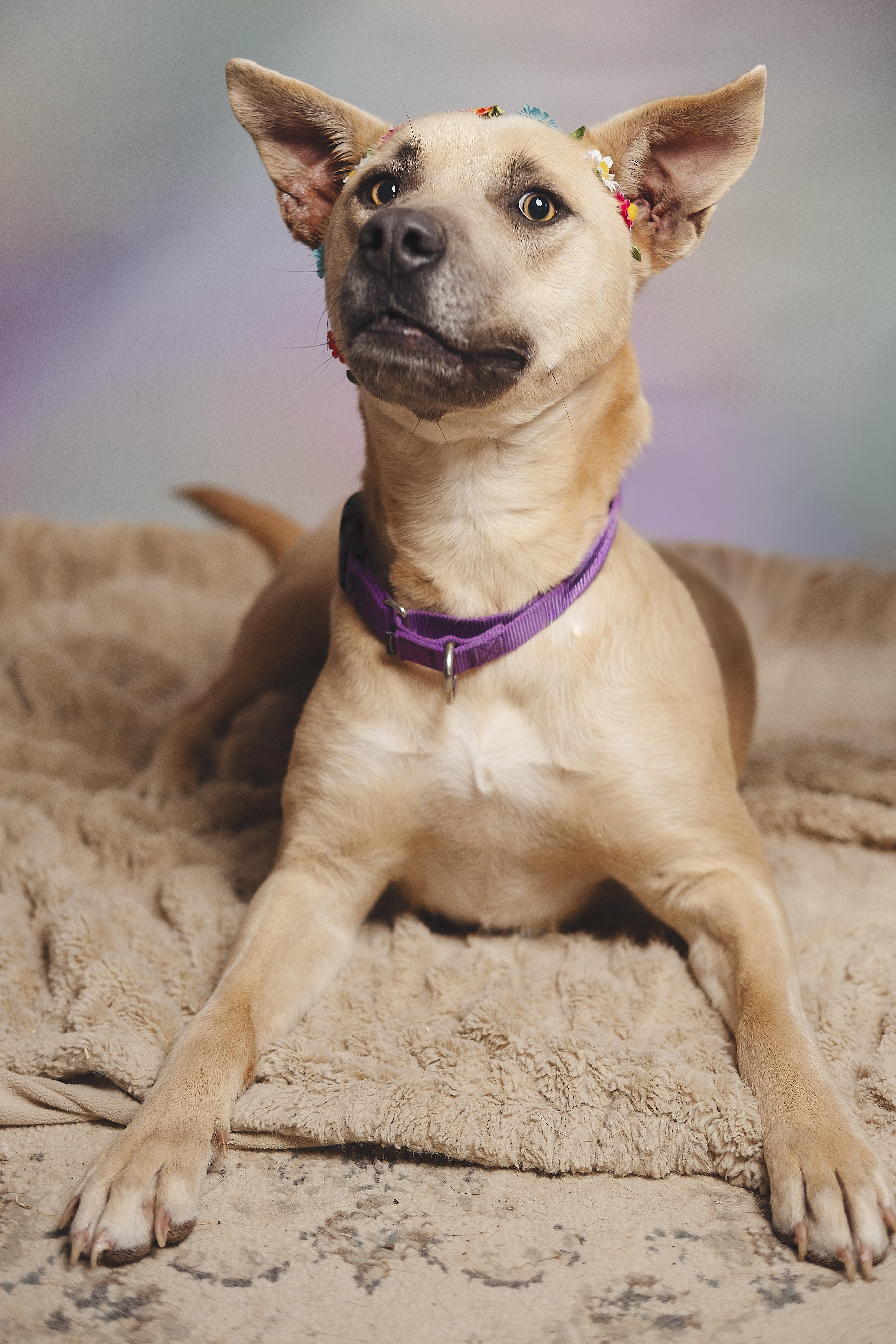 Marsha — thumbnail 2