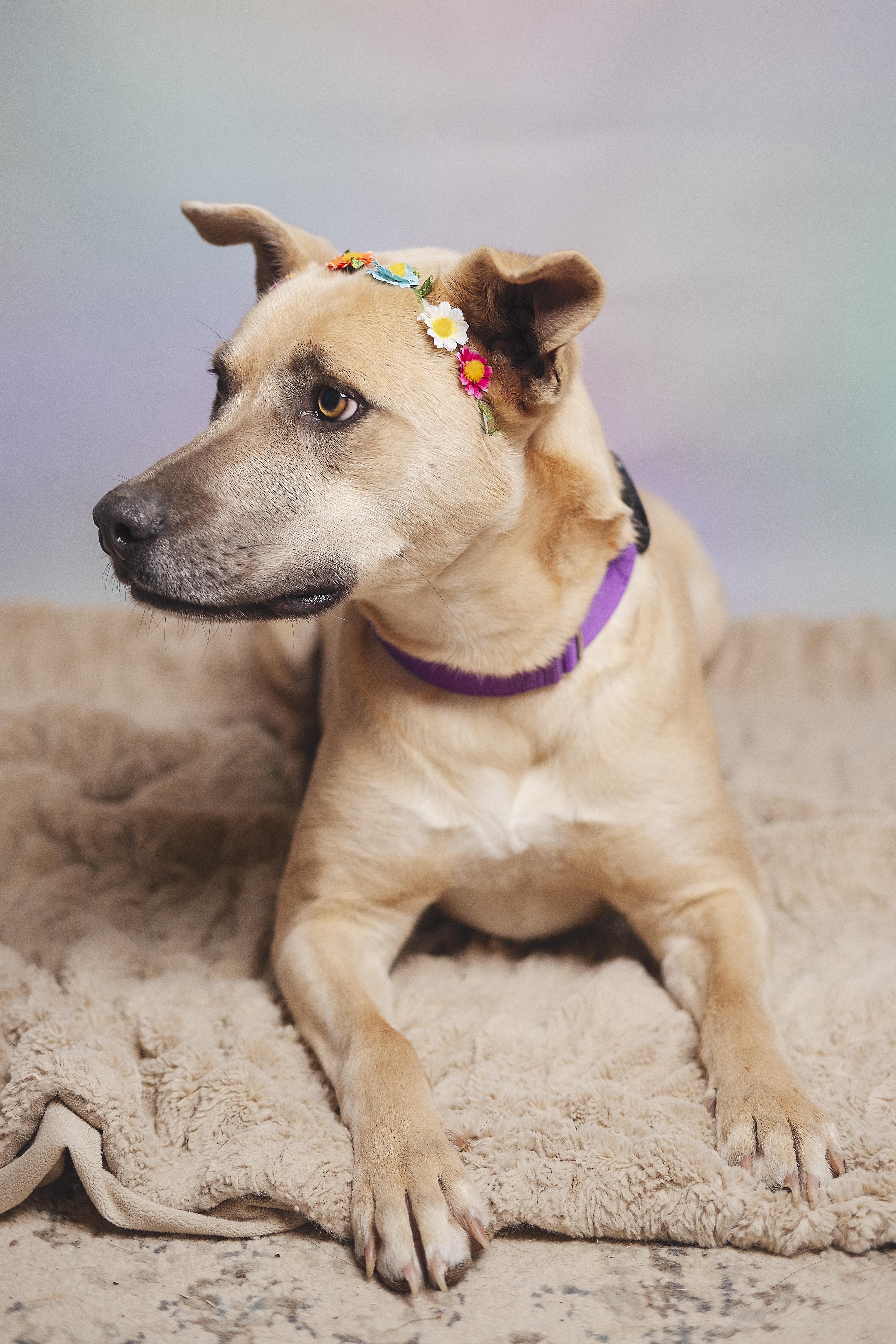 Marsha — thumbnail 3