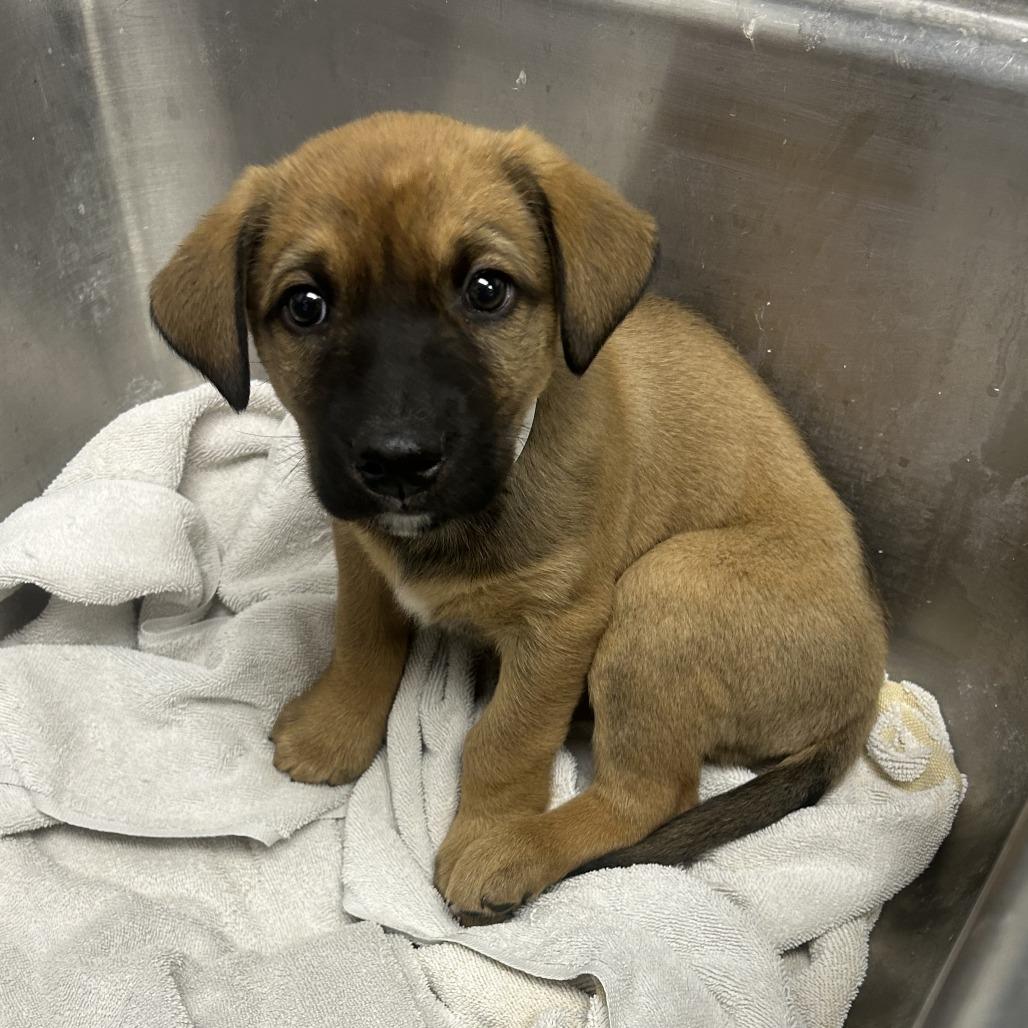 Lilah — thumbnail 2