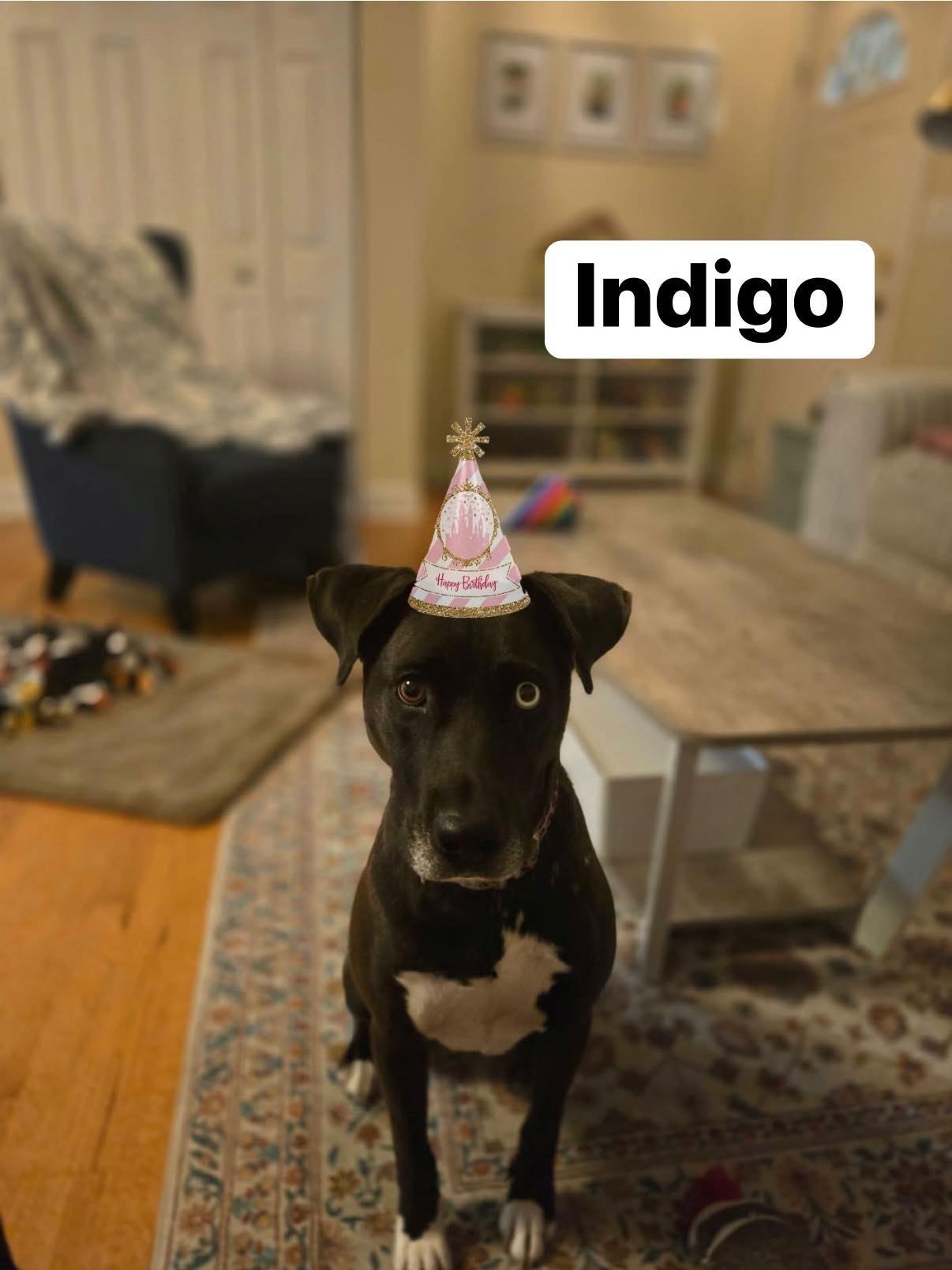 Indigo