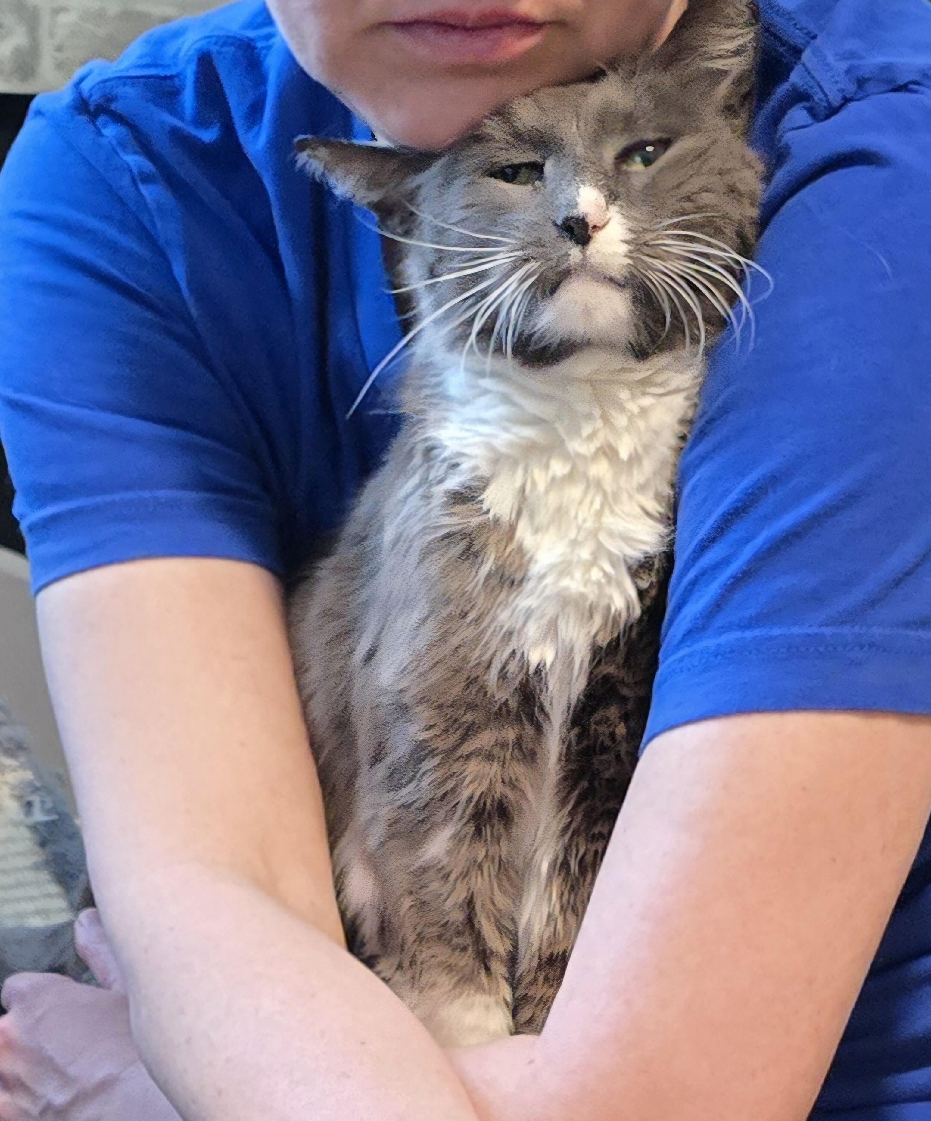 Ryleigh (super senior)