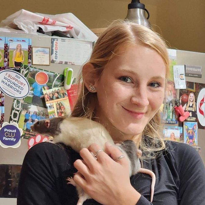 Bunny, Adoptable, Adult Female Rat.