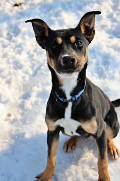 Clark — thumbnail 2