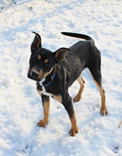 Clark — thumbnail 4