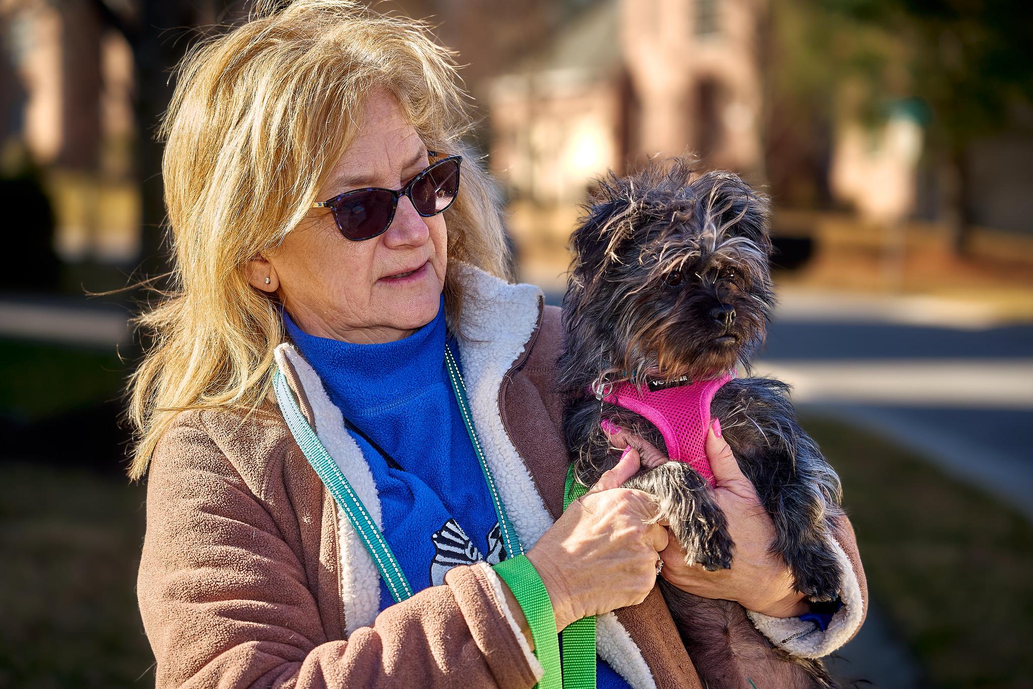 Taffy (watch my video), a Adoptable mixed breed in Ellicott City, MD image 4/6