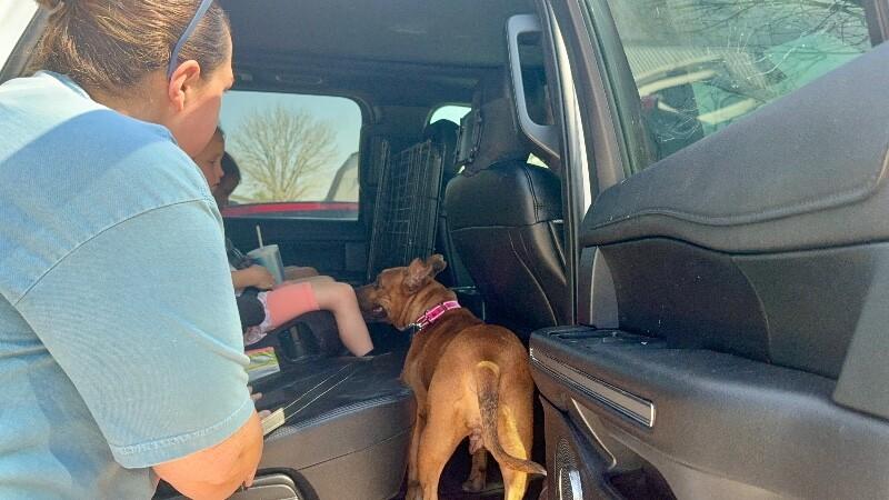 Lemon CAKE — thumbnail 2