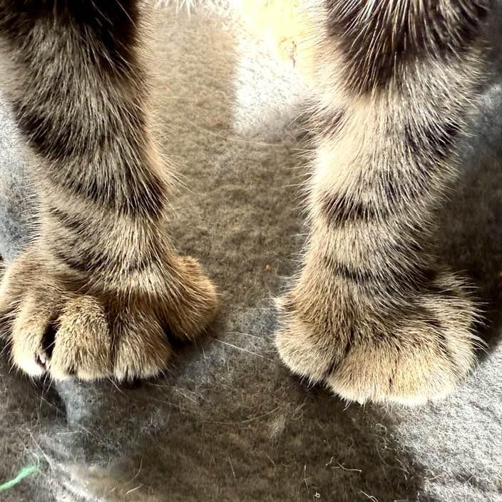 Orbitz — thumbnail 2