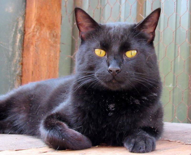 Victor, Mr. Personality!