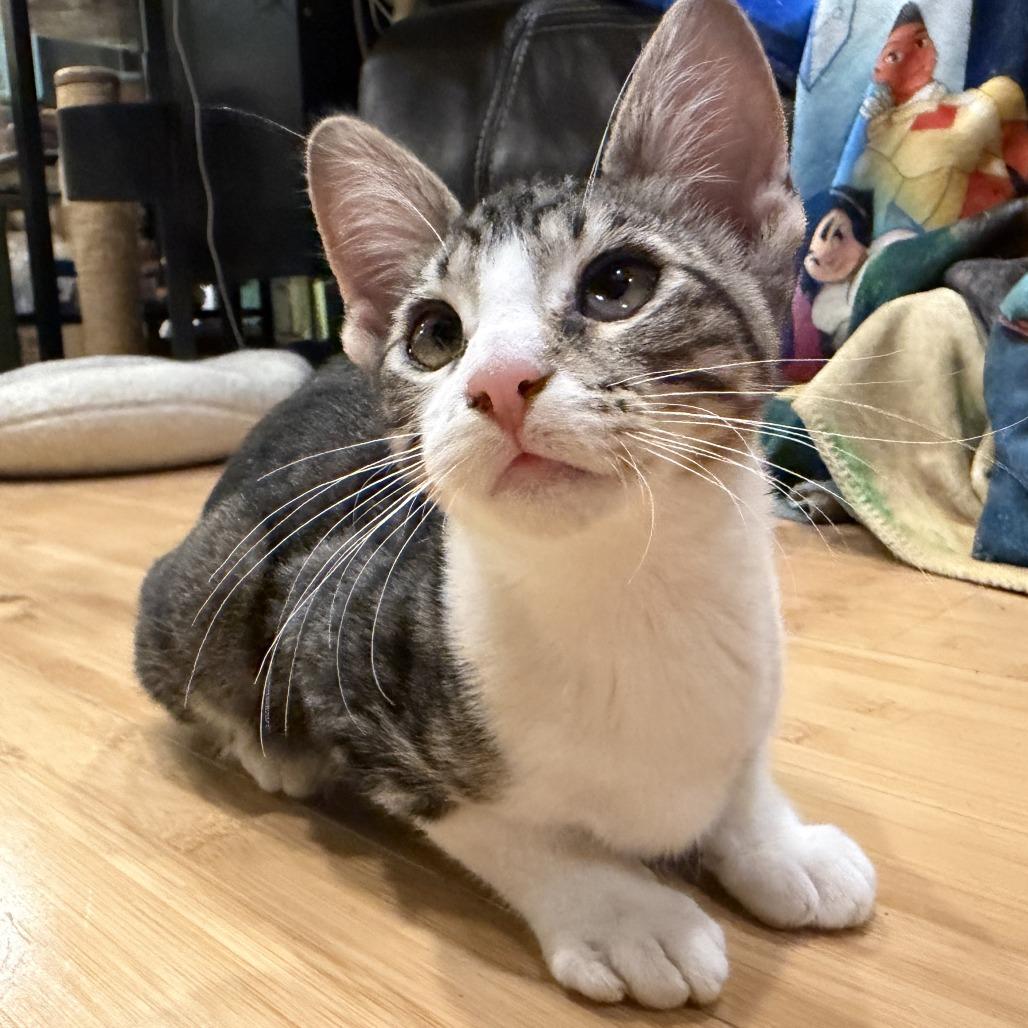 McFlurry — thumbnail 4