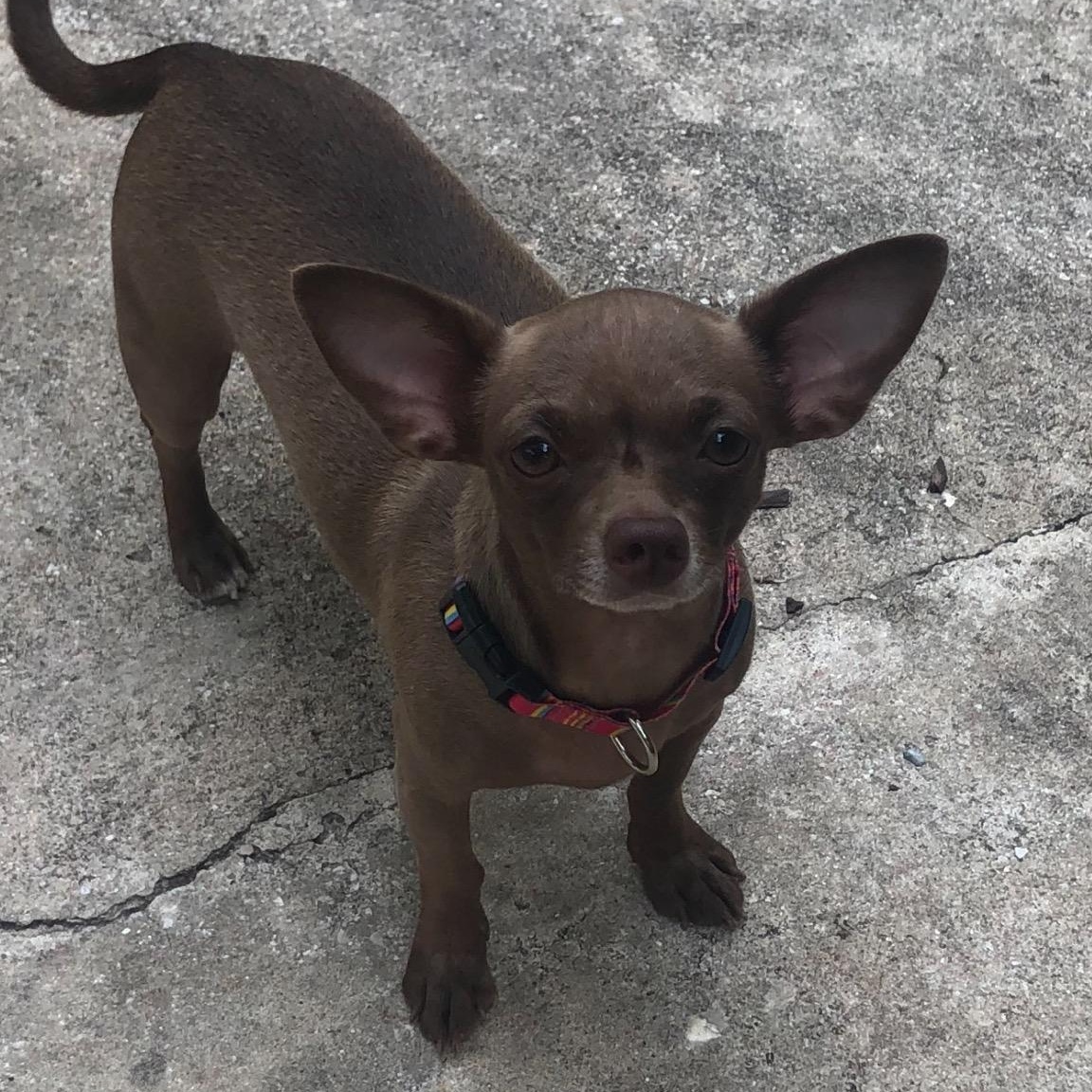Minnie