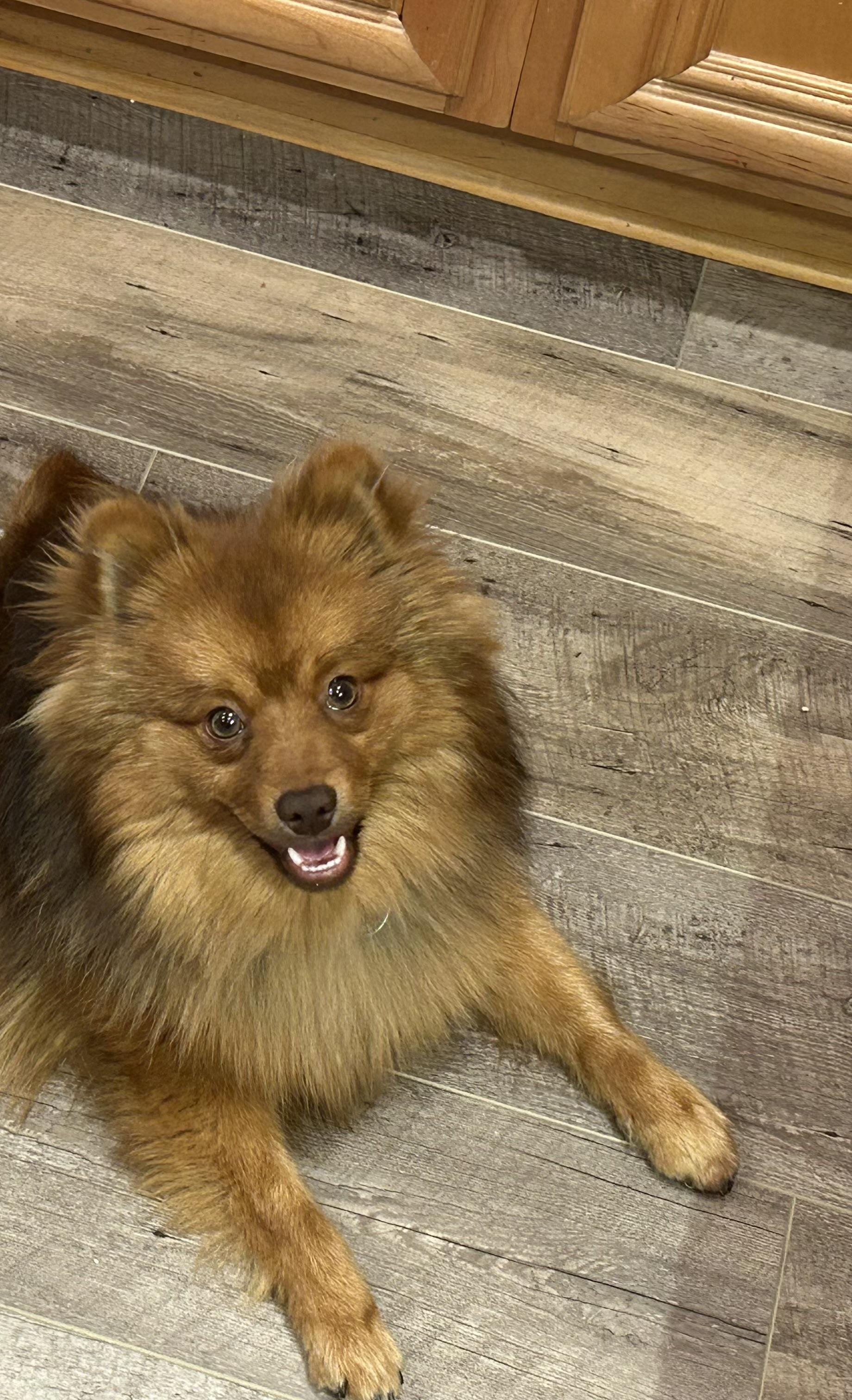 Archie