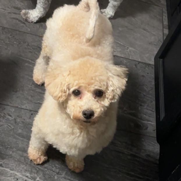 Lady Loudmouth thumbnail 2