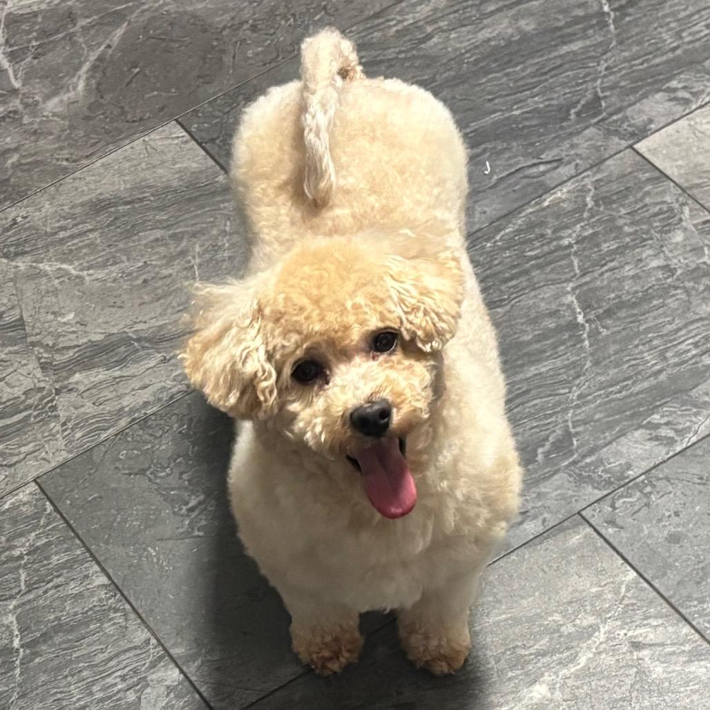 Lady Loudmouth thumbnail 3