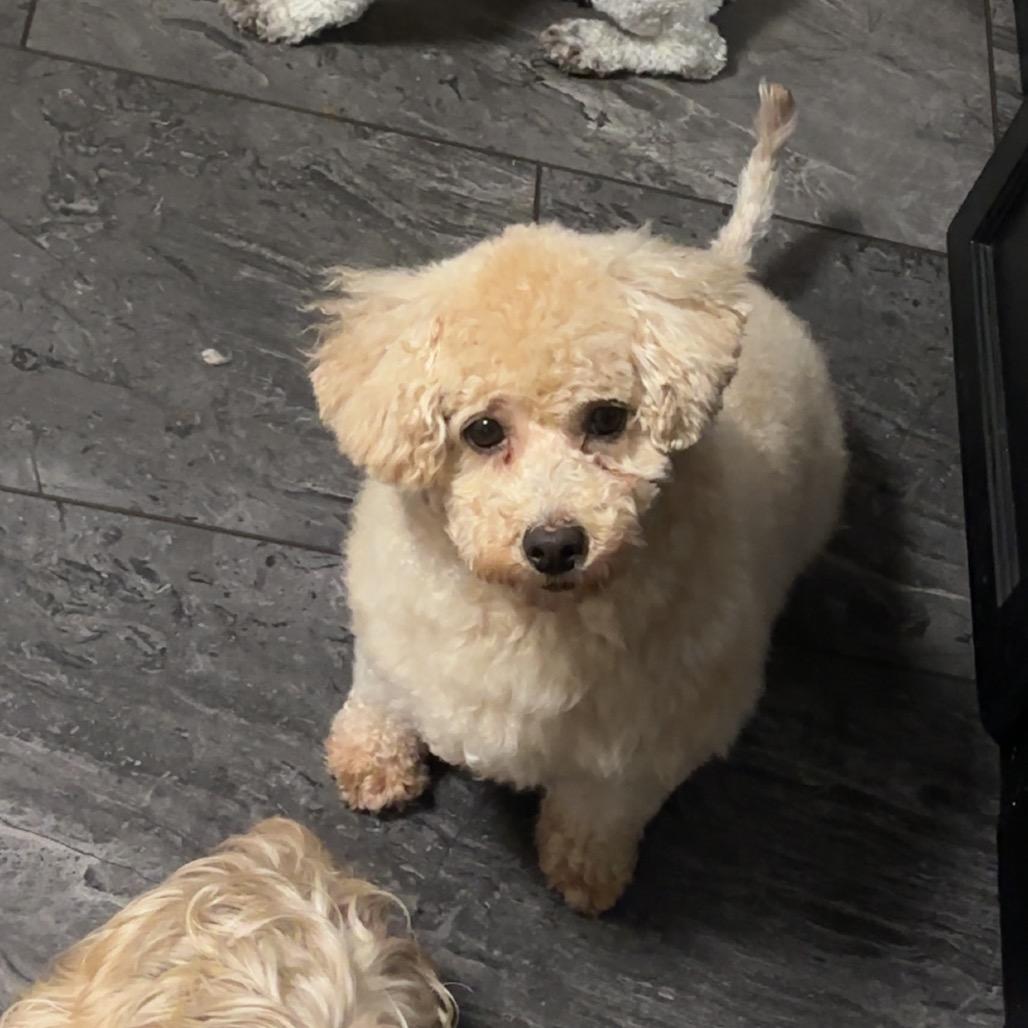 Lady Loudmouth thumbnail 4