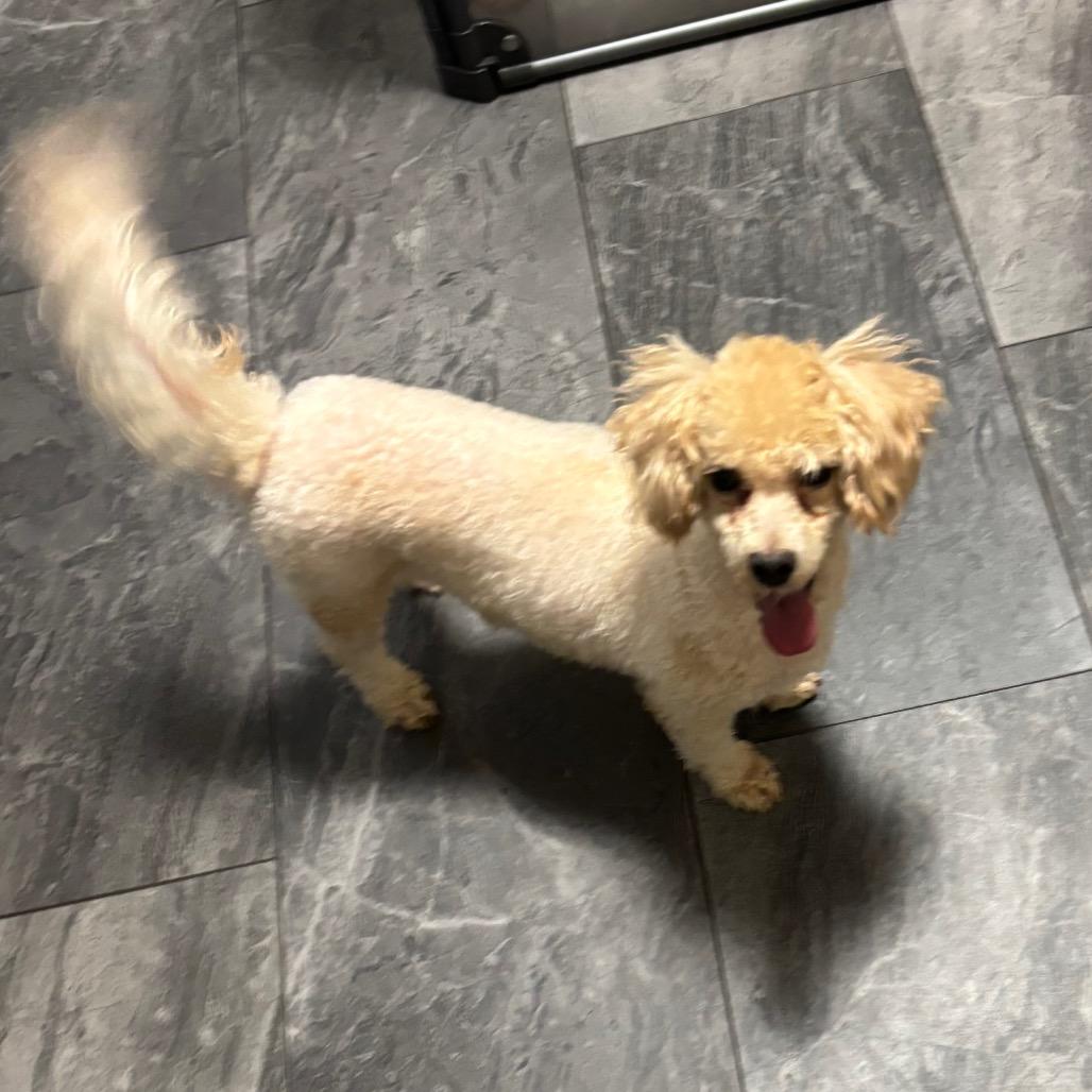 Lady Loudmouth thumbnail 5