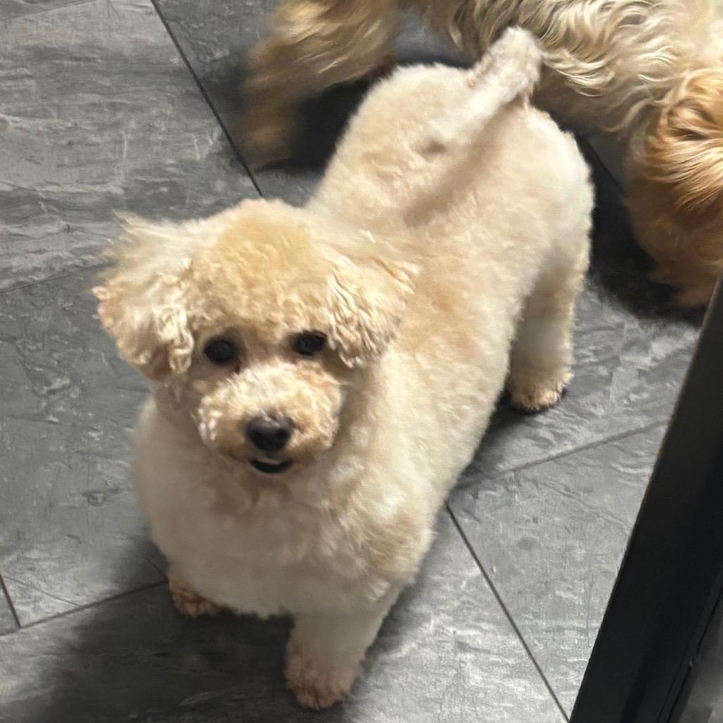 Lady Loudmouth thumbnail 6