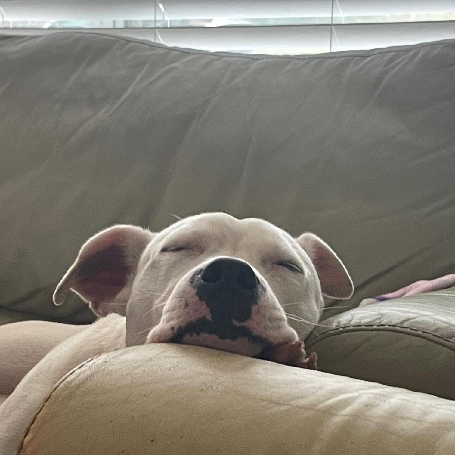 River 1 — thumbnail 2