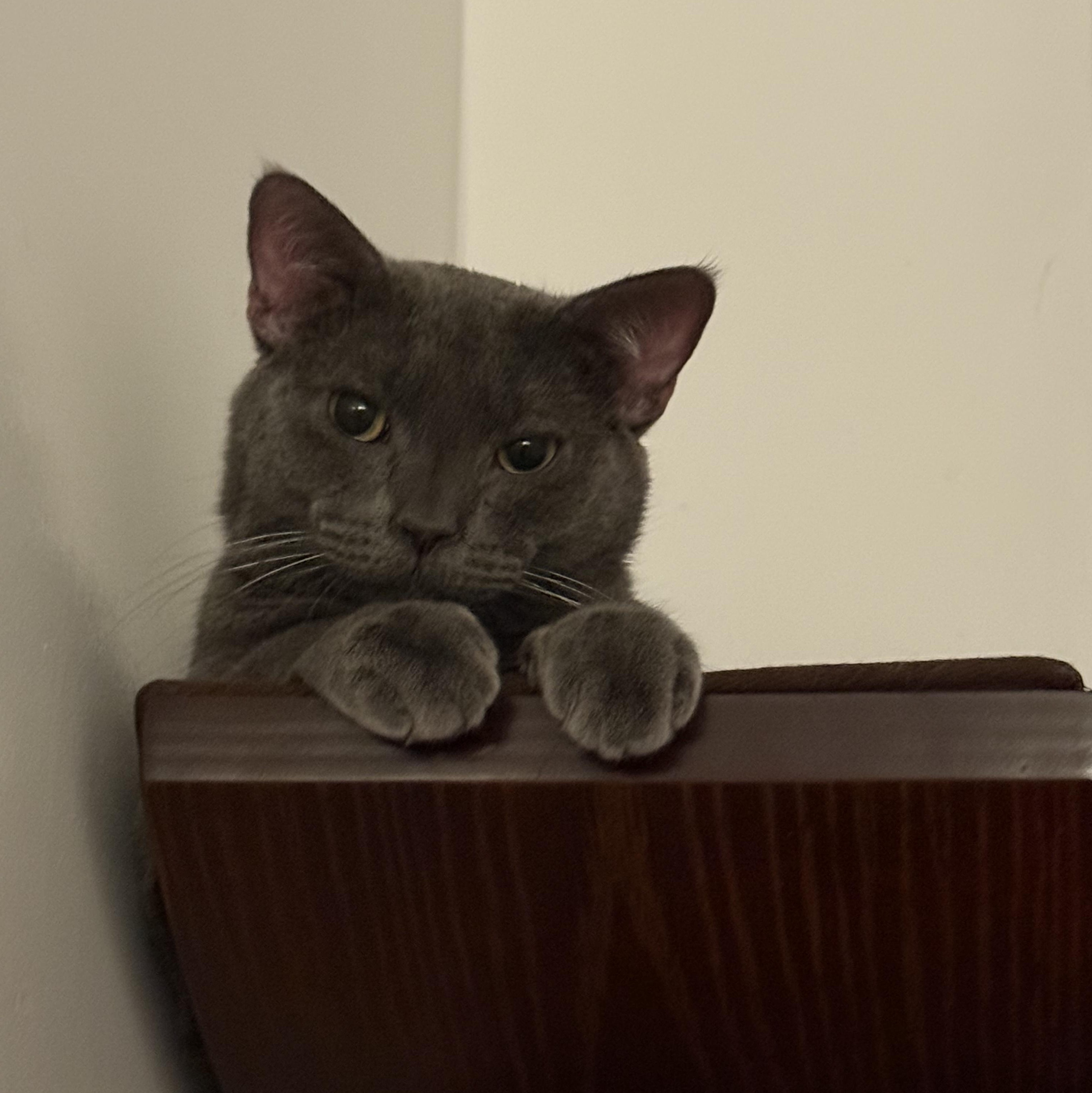 Juice Box thumbnail 2