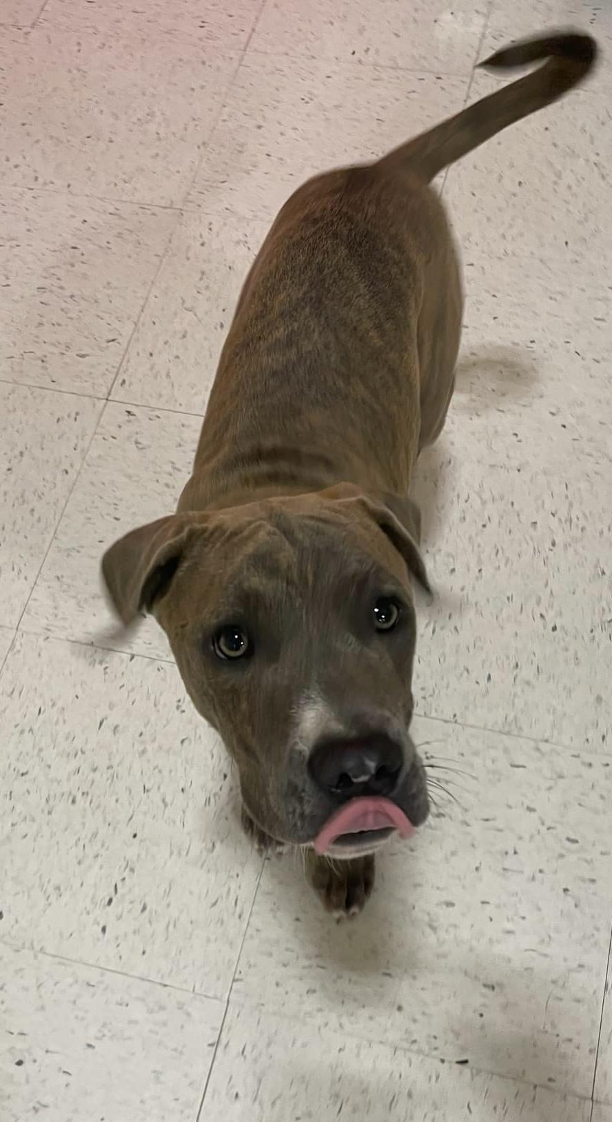 Roscoe