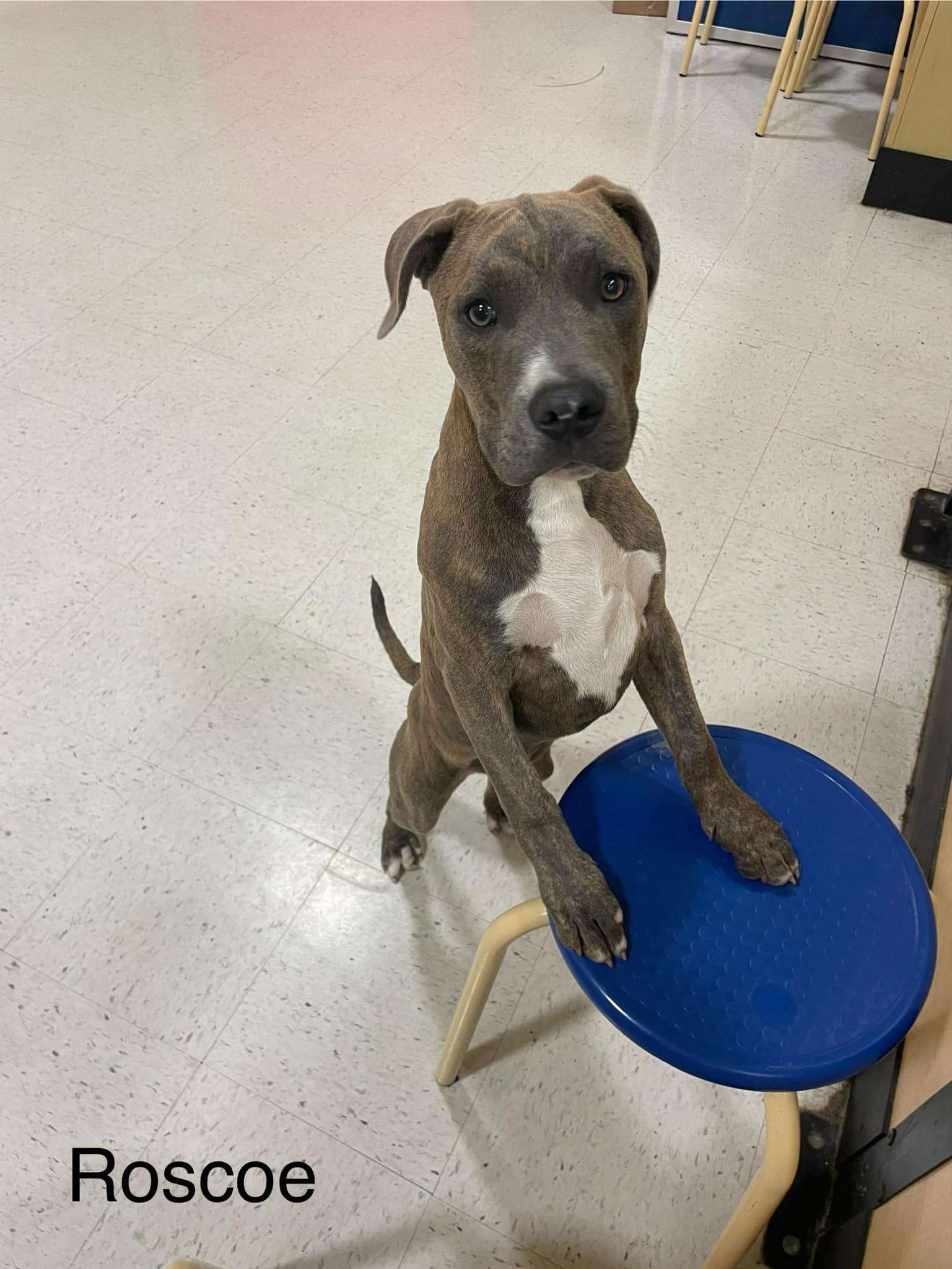 Roscoe
