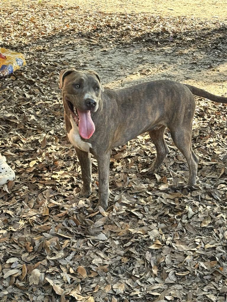 Roscoe