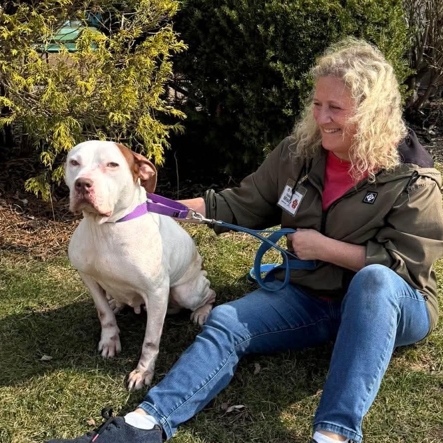 Enlarge Elsa Ask to Meet!! In Foster!!, a Adoptable mixed breed in Elyria, OH image 4/6