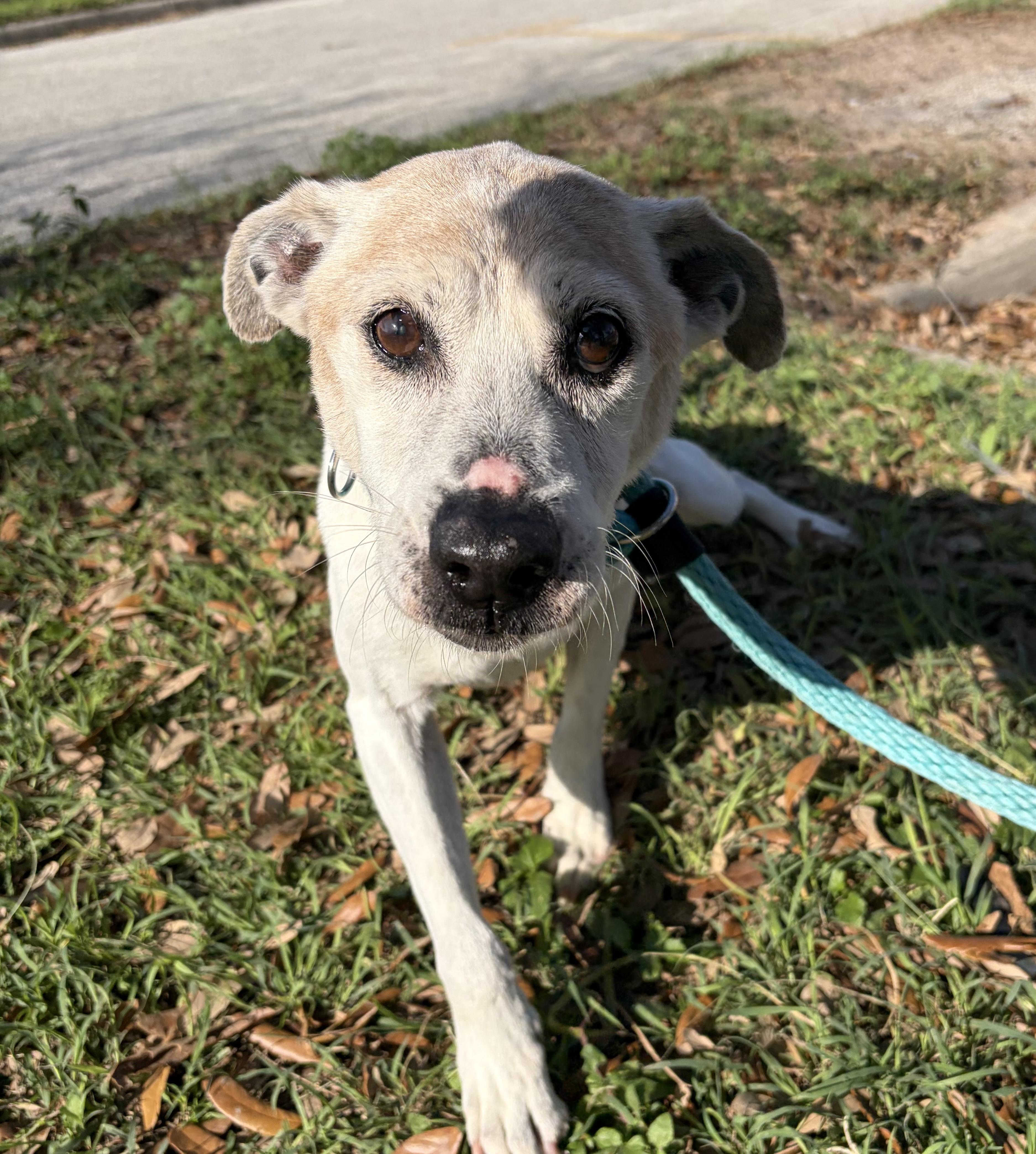 Hailey — thumbnail 2