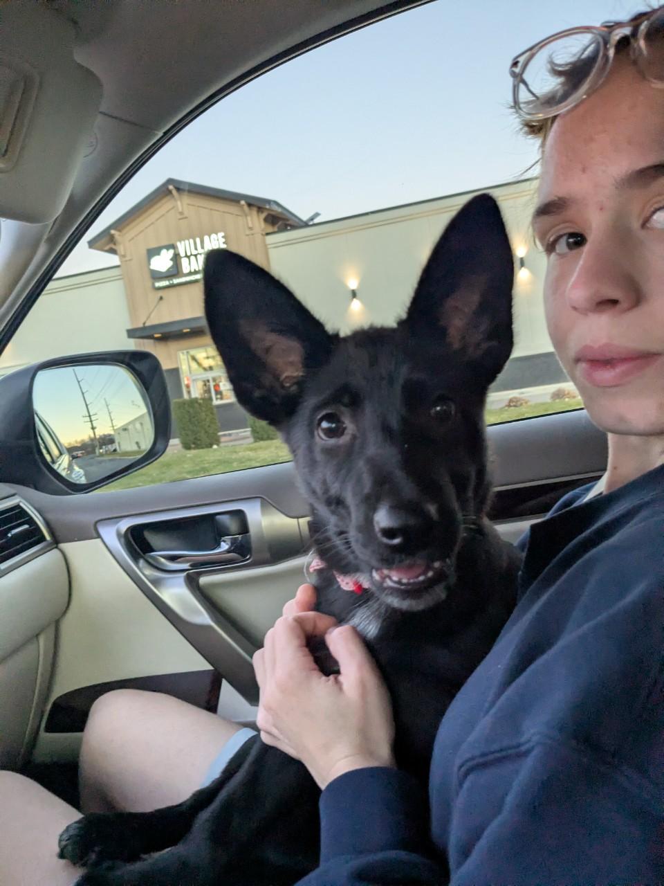 Eve, a ADOPTABLE mixed breed in Orem, UT image 4/4