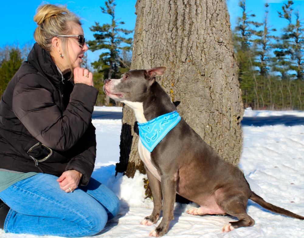 Enlarge Bruno, a Adoptable mixed breed in Cheboygan, MI image 6/6
