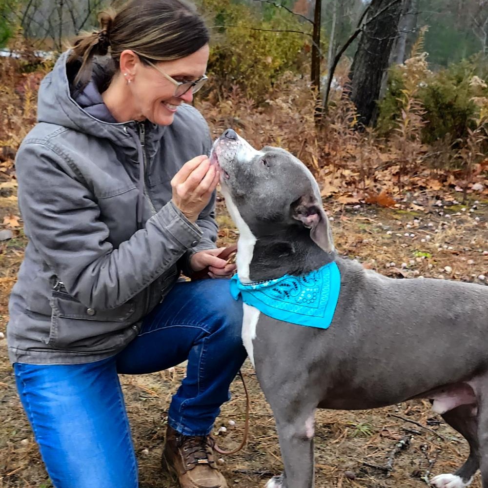 Bruno, a Adoptable mixed breed in Cheboygan, MI image 5/6
