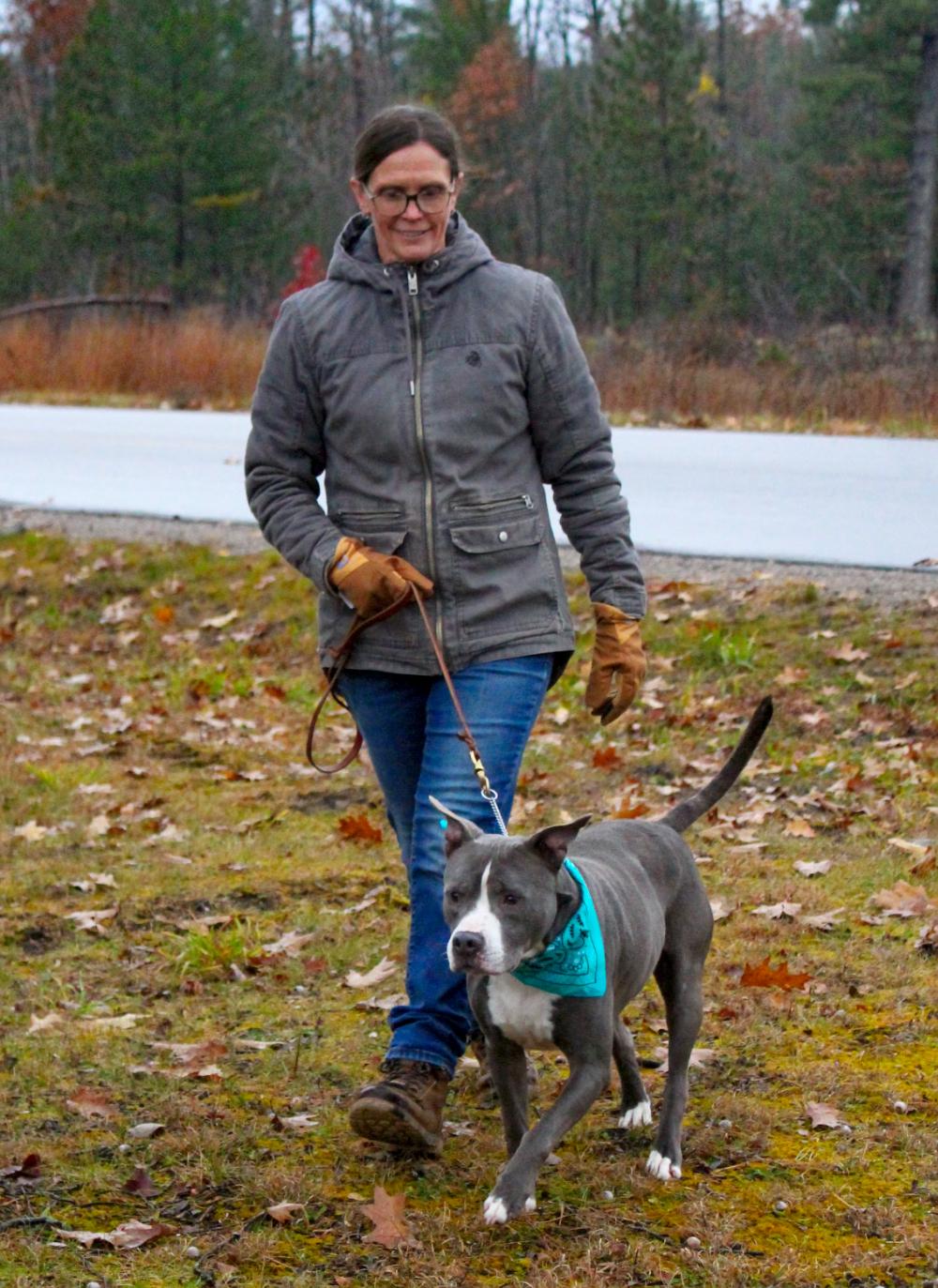 Bruno, a Adoptable mixed breed in Cheboygan, MI image 3/6
